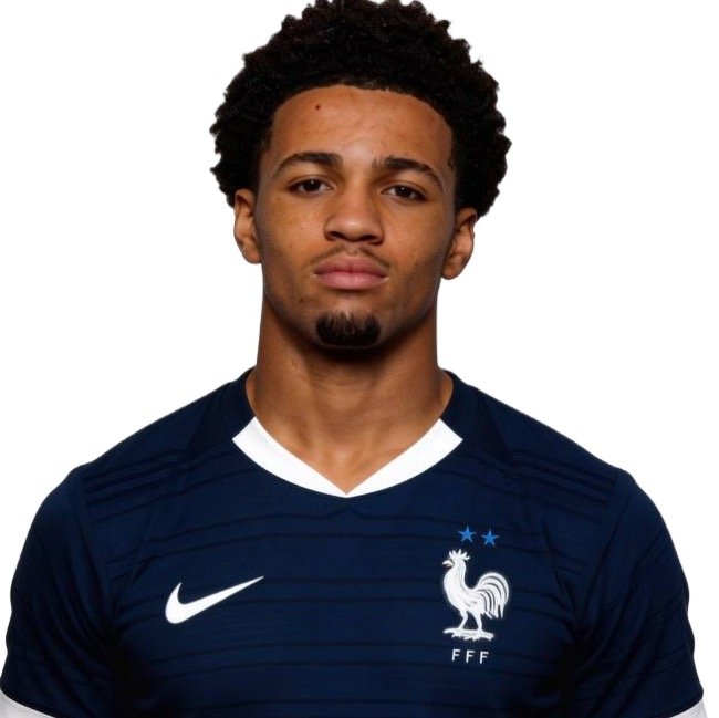 Луи Ла Мари