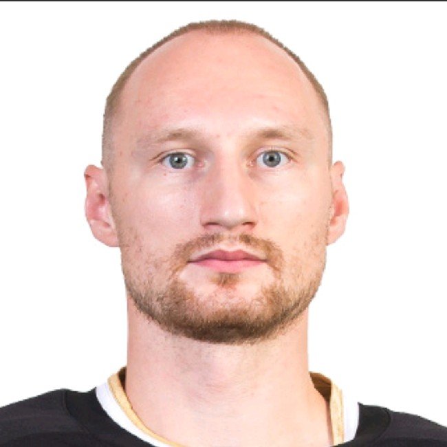 Аркадий Шестаков