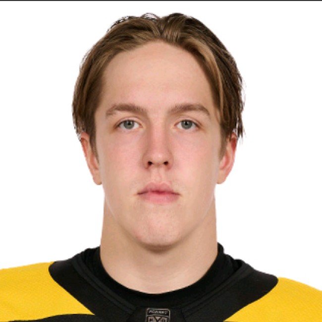 Михаил Ильин