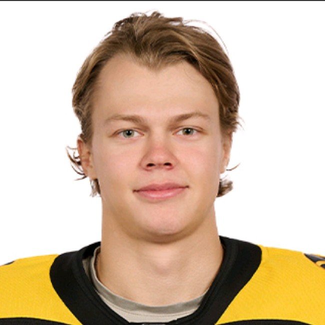 Владимир Грудинин