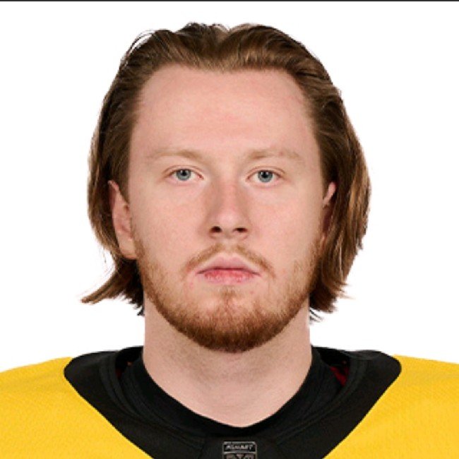 Всеволод Скотников