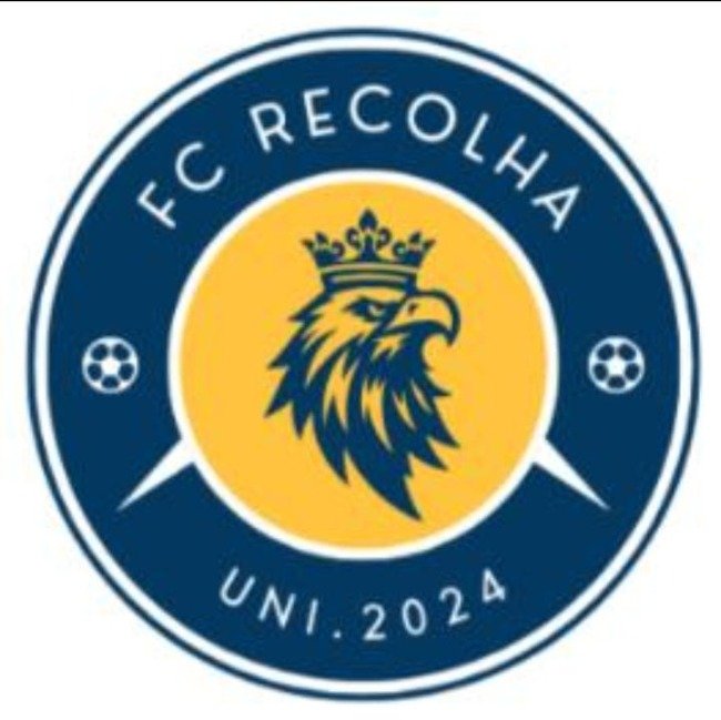 Recolha FC - Economia e Gestão 4°Ano