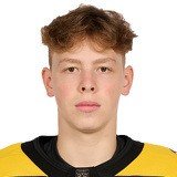 Виталий Пестерев