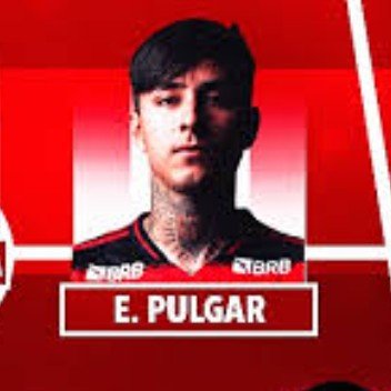 Erick pulgar