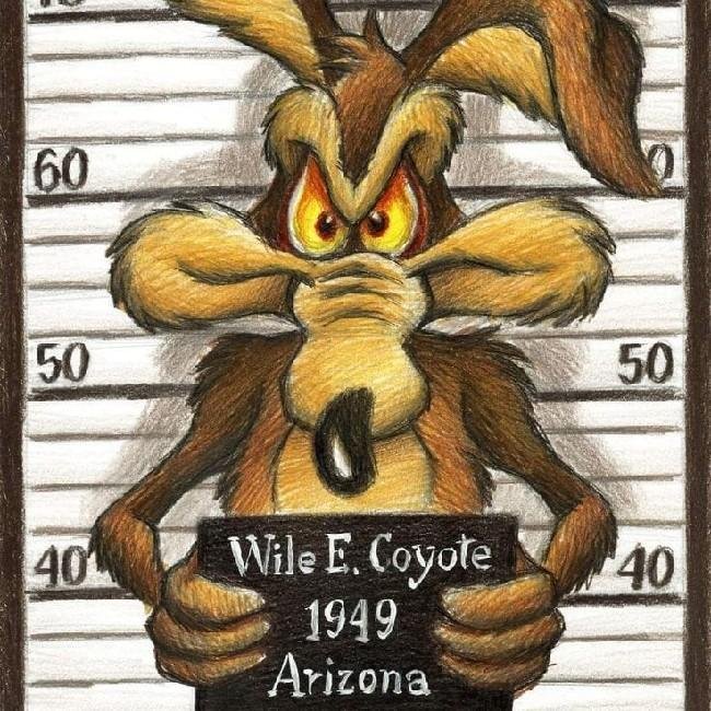 (6°) MN COYOTINHO⁷⁷⁷