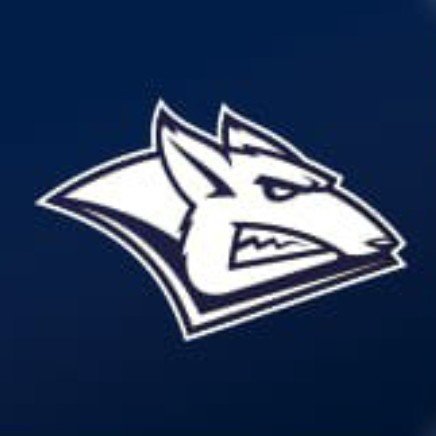 Металлург мг