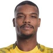 🇧🇷 R. David