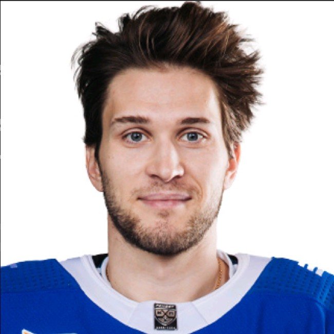 Максим Мамин В.