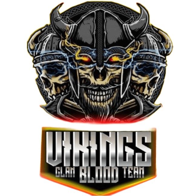 VIKINGSBLOOD