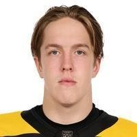 Михаил Ильин