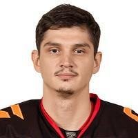 Николай Прохоркин