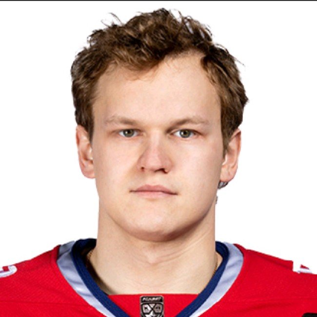 Степан Никулин