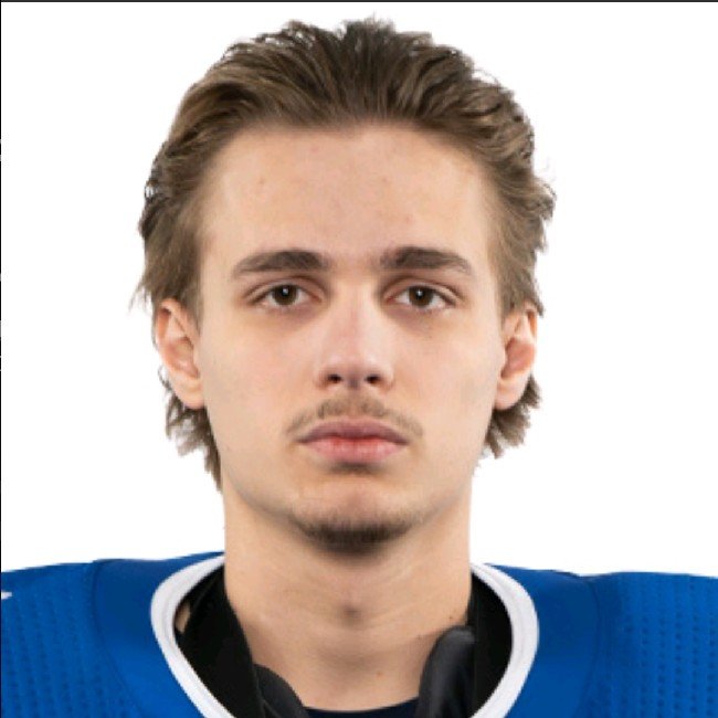 Артемий Плешков