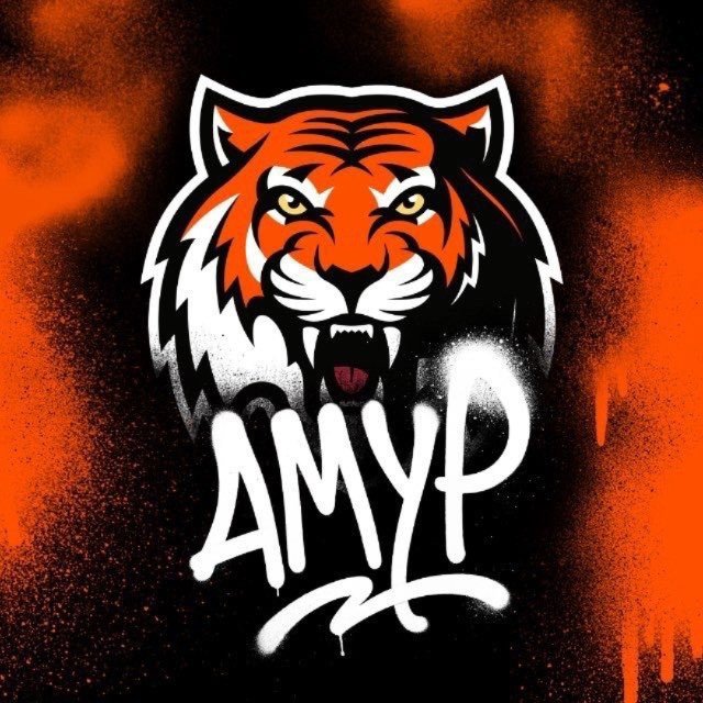 ‎«ХК Амур»