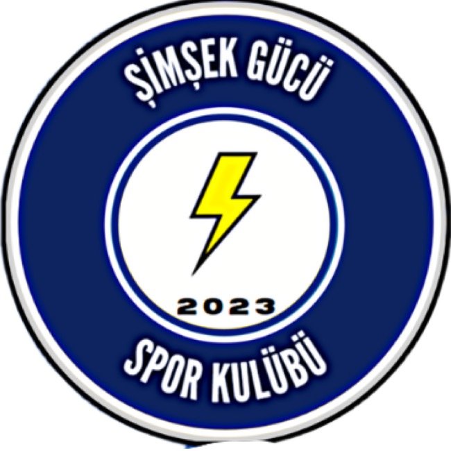 Şimşek Gücü