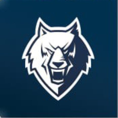 Нефтехимик