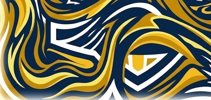 TOUCH FOOTBALL/RUGBY