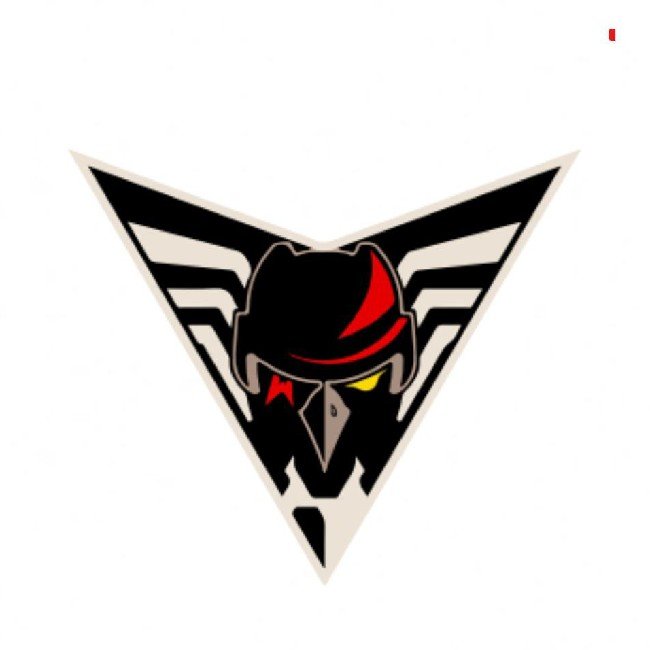 Омские Крылья