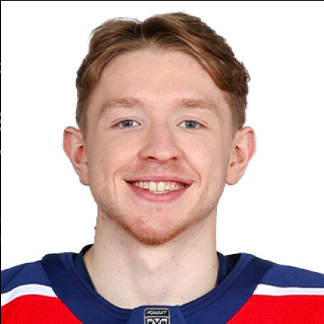 Дмитрий Бучельников