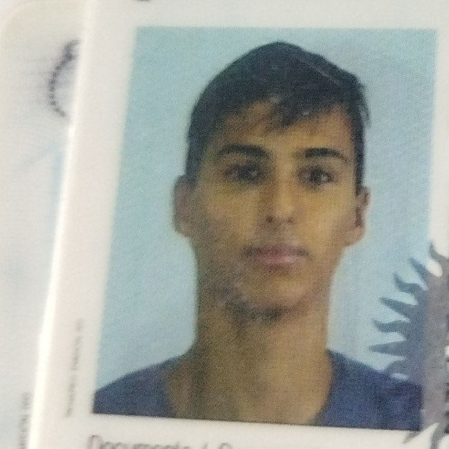 Gallo Esteban