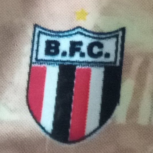 Botafogo SP