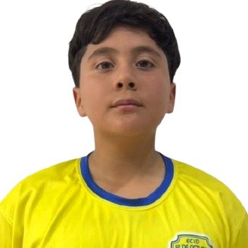 SAUL DANIEL SARMIENTO CASTRO