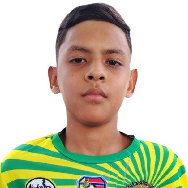 LUIS STHEBAN TORRES ALONSO