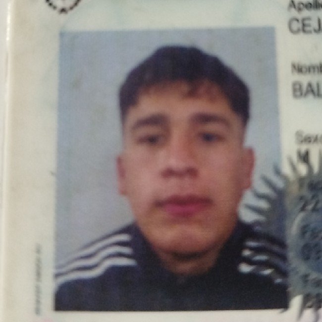 Cejas Baltazar
