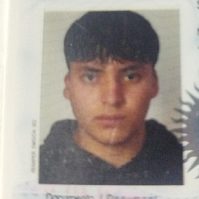 Schneider Juan