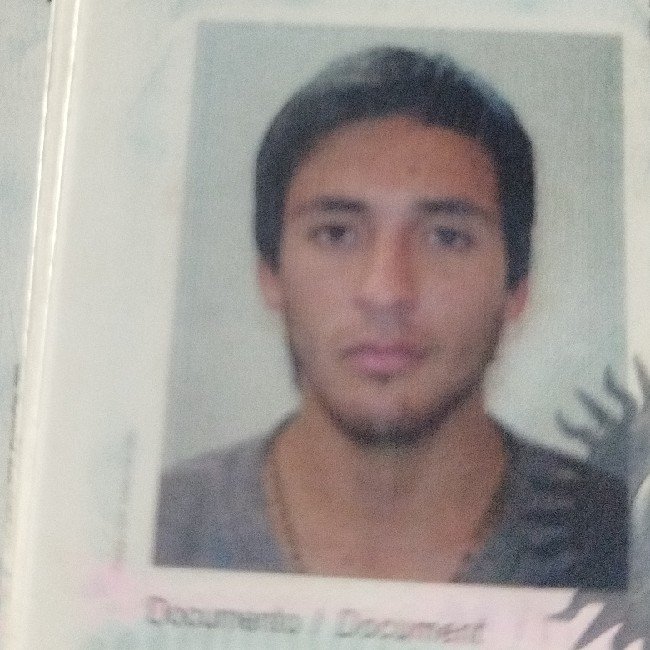 Mansilla Mario