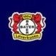 Bayer