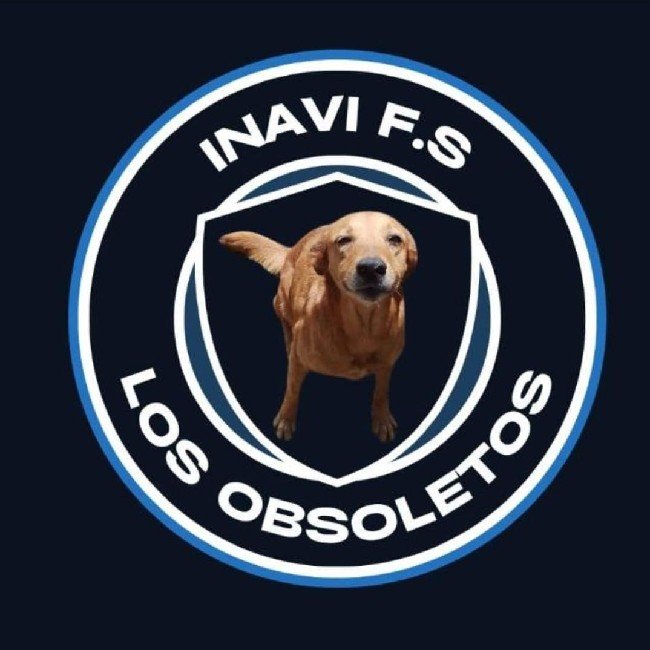 Inavi