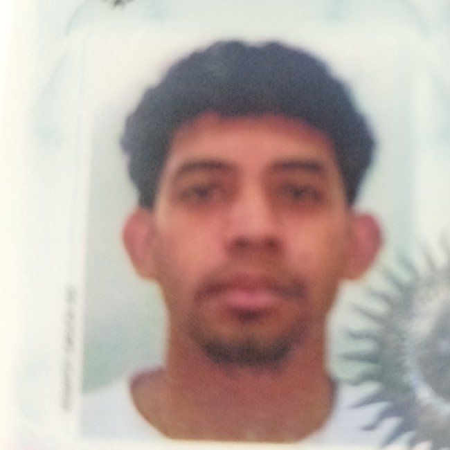 Sosa Bruno