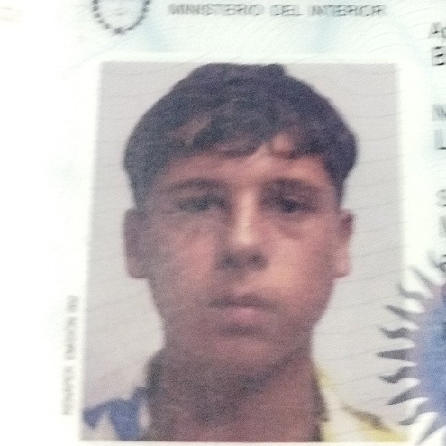 Barberis Luka