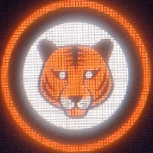 United Tigers