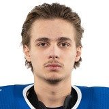 Артемий Плешков