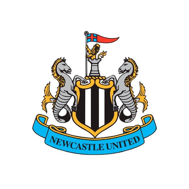 NEWCASTLE UNITED - (HENRIQUE C.)