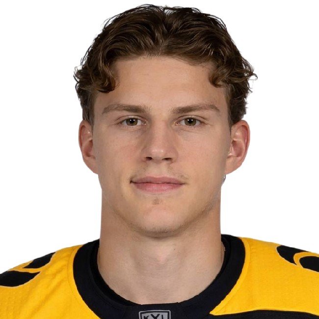 Андрей Никонов 🇷🇺