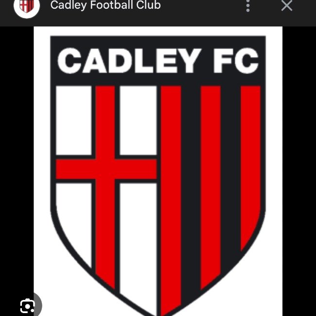 Cadley Reds U8's