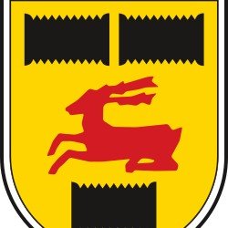 Cambuur