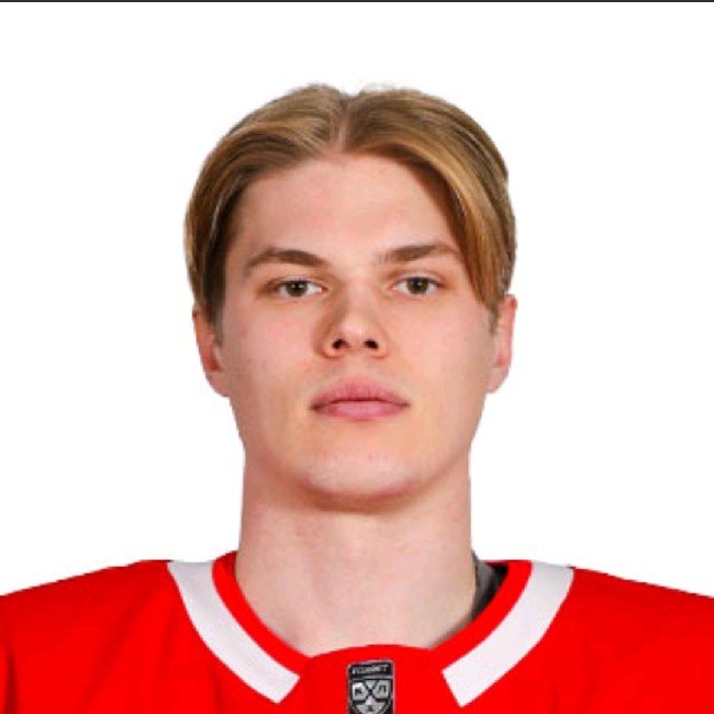 Демид Мансуров