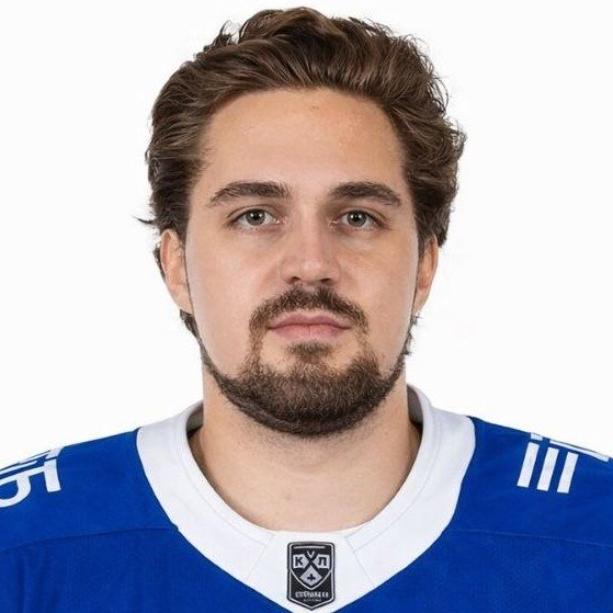 Дмитрий Николаев 🇷🇺