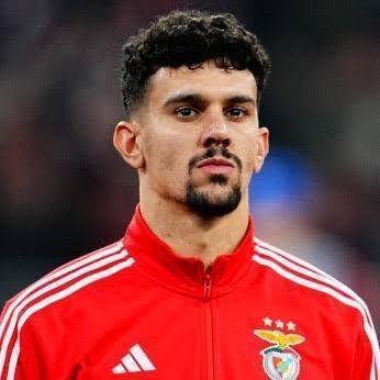 Tomas Araujo