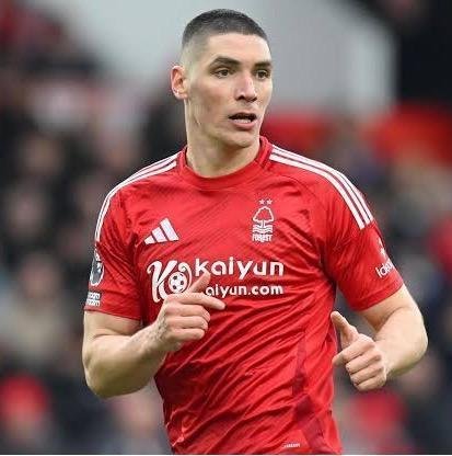 Nikola milenkovic