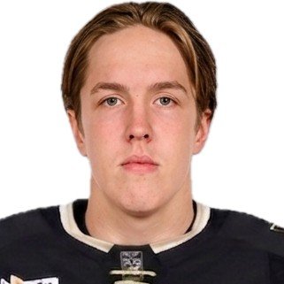 Михаил Ильин 🇷🇺