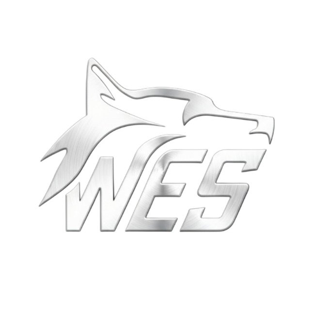 Wolfs eSports