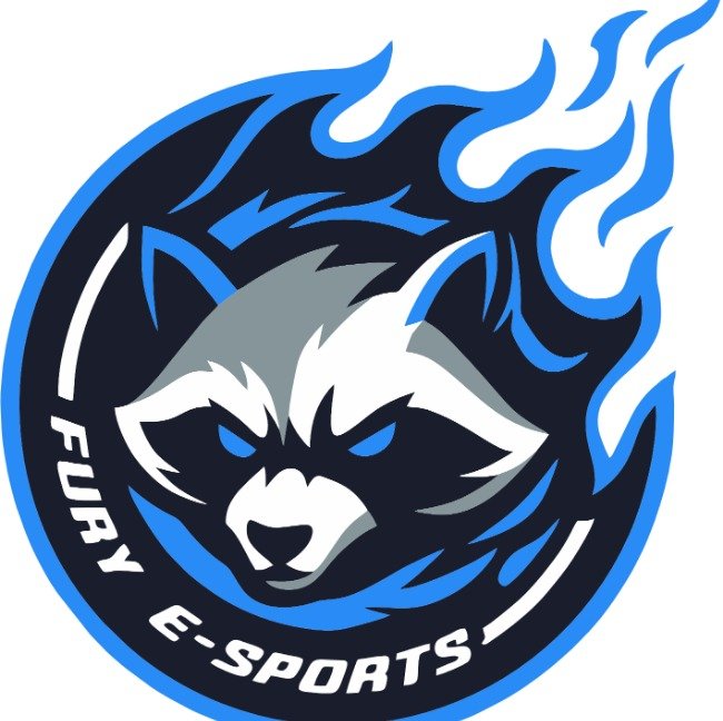 FURY E-SPORTS