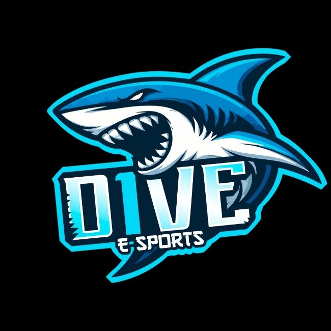 D1VE E-SPORTS