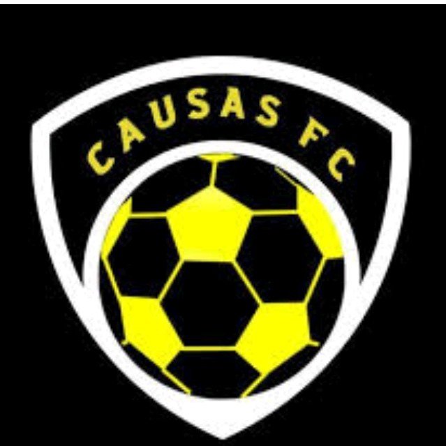 CAUSAS FC 3D
