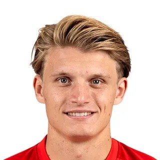 Steijn